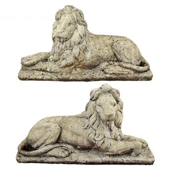 Pair of Stone Lions 
