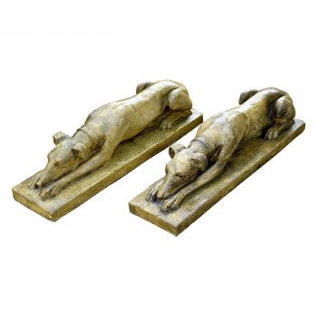 Sleeping Whippets