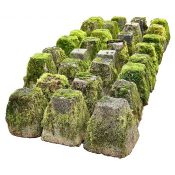 Thirty Small Staddle Stone Bases