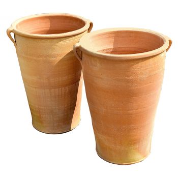 Twin Handled Terracotta Pot