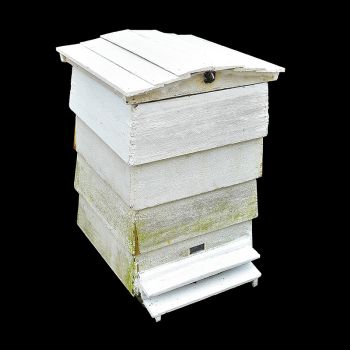 Wooden Bee Hive 