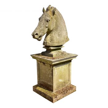 Medici Horse Head