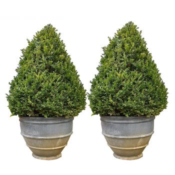 Pair of Banded Lead Planters 