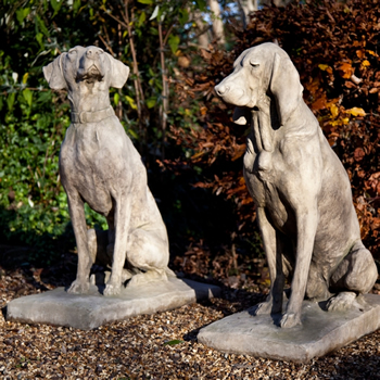 French Hunting Dogs